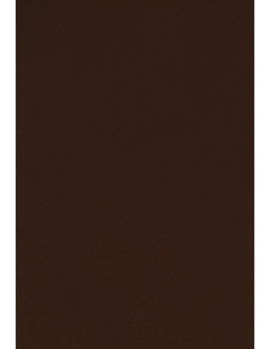 PhotoPro Baggrundspapir - farve: 20 Dark Brown